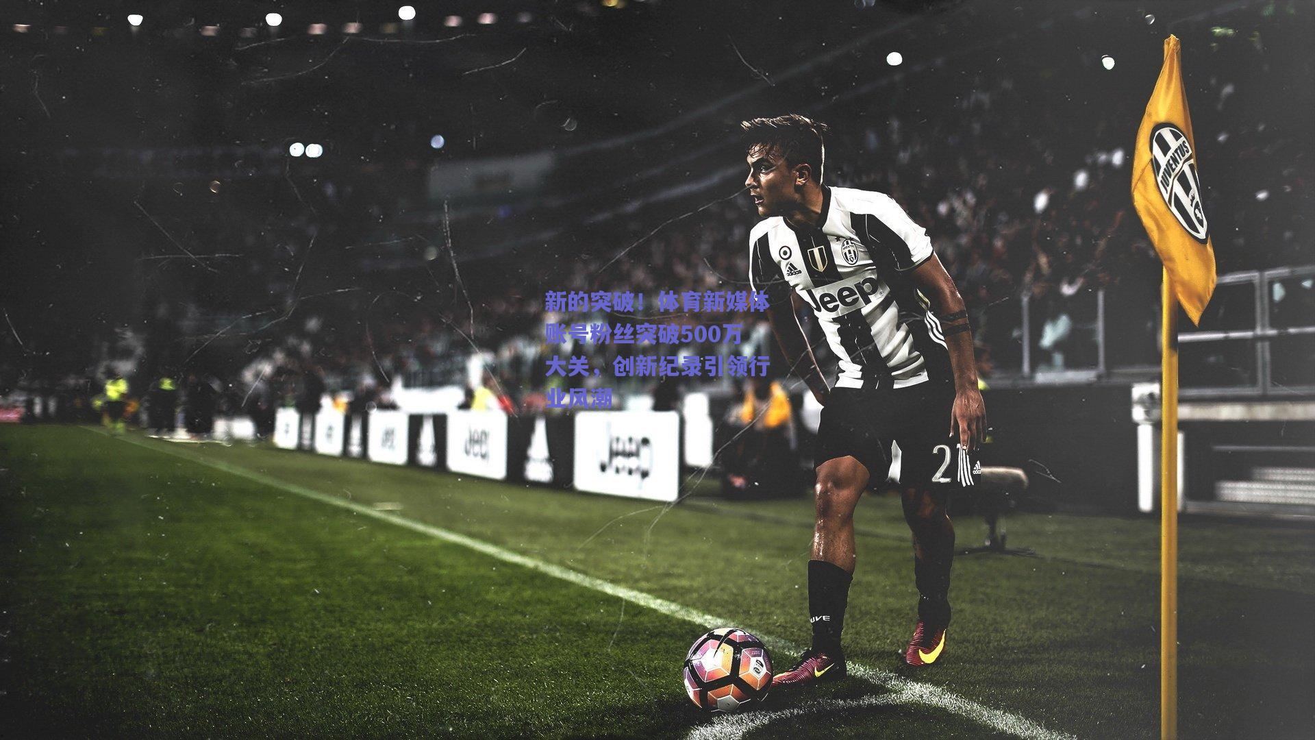 新的突破！体育新媒体账号粉丝突破500万大关，创新纪录引领行业风潮