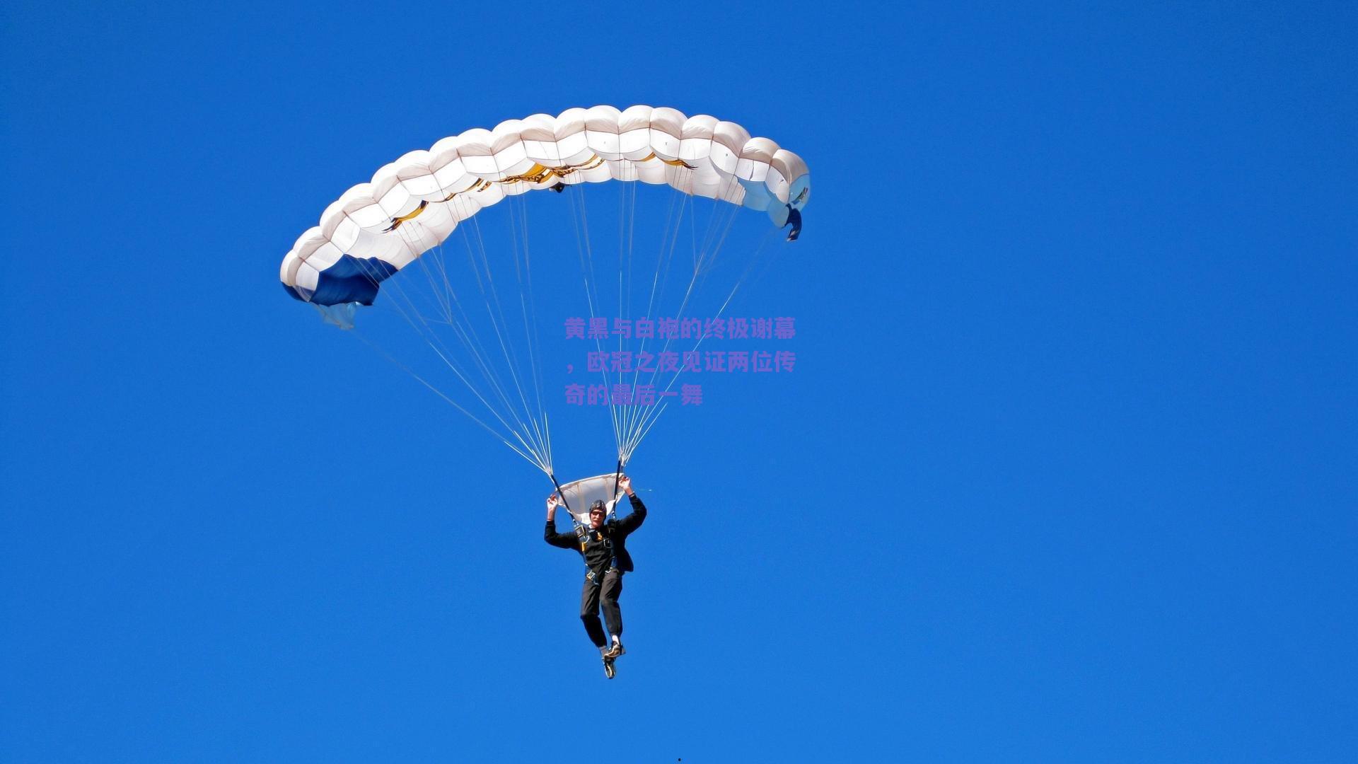 黄黑与白袍的终极谢幕，欧冠之夜见证两位传奇的最后一舞