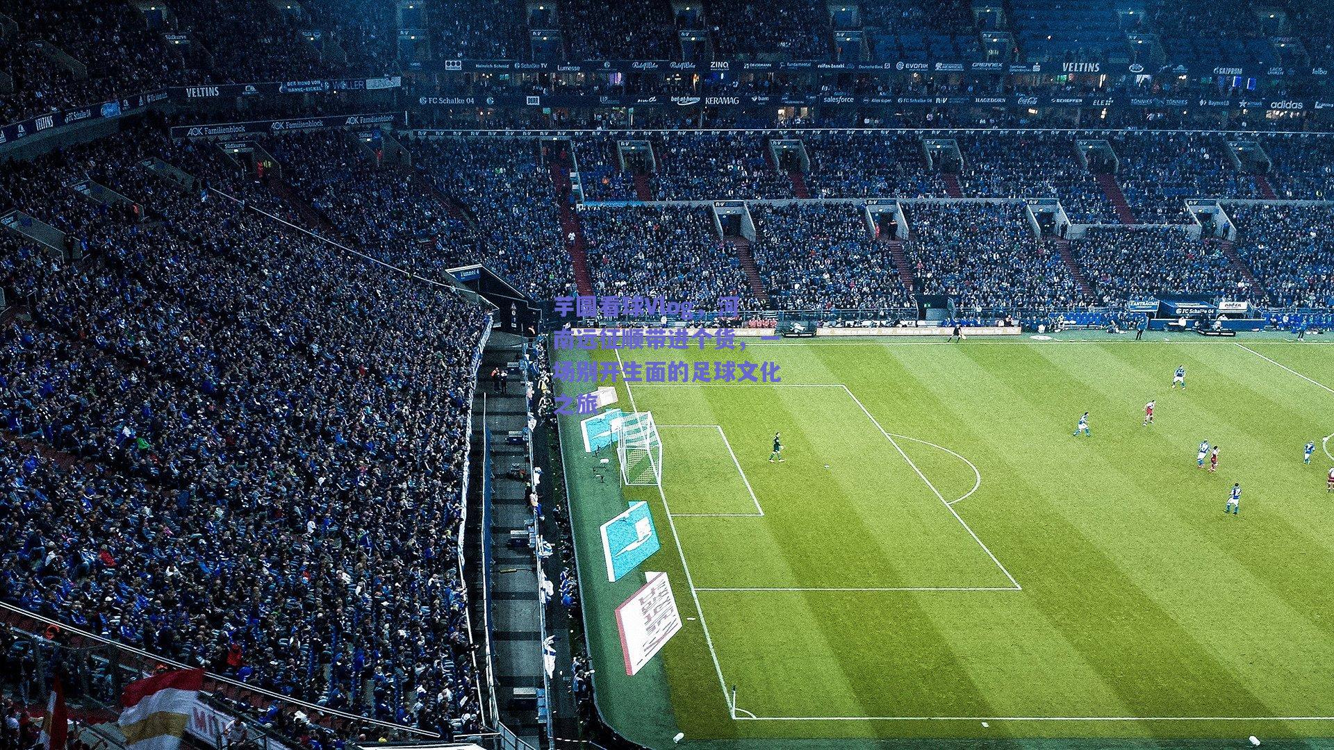 芋圆看球Vlog,河南远征顺带进个货,一场别开生面的足球文化之旅