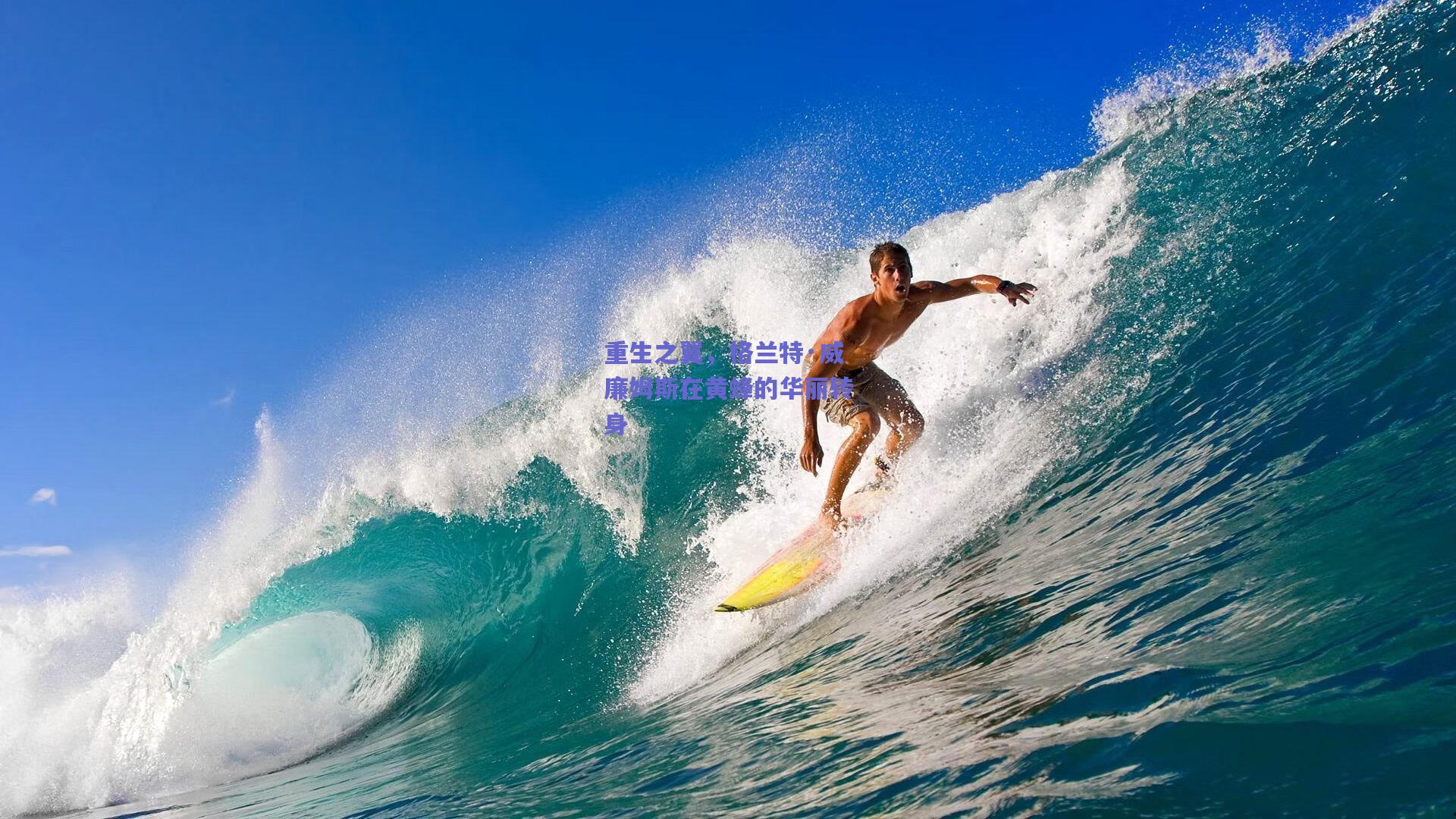 重生之翼，格兰特·威廉姆斯在黄蜂的华丽转身